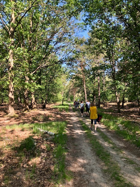 Natuurlijk in beweging